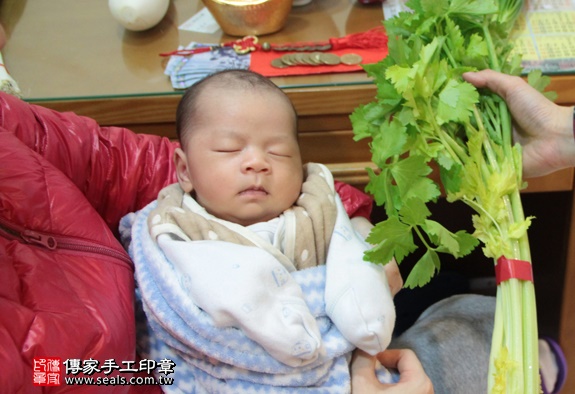 剃胎毛、滿月剃頭、嬰兒剃頭、嬰兒理髮、嬰兒剃髮、嬰兒剃胎毛、嬰兒滿月剃頭、寶寶剃頭、剃胎毛儀式、剃胎毛吉祥話、滿月剃頭儀式、滿月剃頭吉祥話、寶寶剃胎毛、寶寶滿月剃頭理髮、 台北萬華區剃胎毛、台北萬華區滿月剃頭、 台北萬華區嬰兒剃頭剃胎毛、台北萬華區嬰兒理髮、台北萬華區嬰兒剃髮、林寶寶(台北萬華區到府嬰兒寶寶滿月剃頭理髮、免費到府嬰兒剃胎毛儀式吉祥話)。到府剃頭剃胎毛主持、專業拍照、DVD光碟、證書。★購買「臍帶章、肚臍章、胎毛筆刷印章」贈送：剃頭、收涎、抓周，三選一。2016.01.30 照片11
